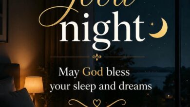 Beautiful Good Night Wish Image