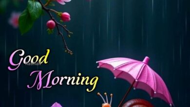 Cute Good Morning Wish Image