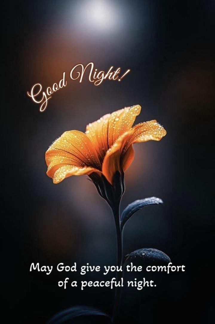 Good Night Wish Image with Quotes
