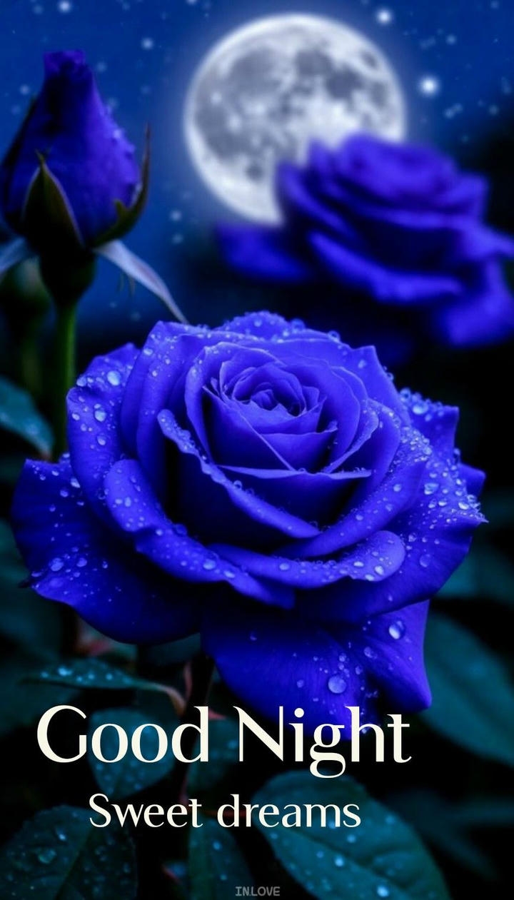 Sweet Dreams Good Night Wish Image