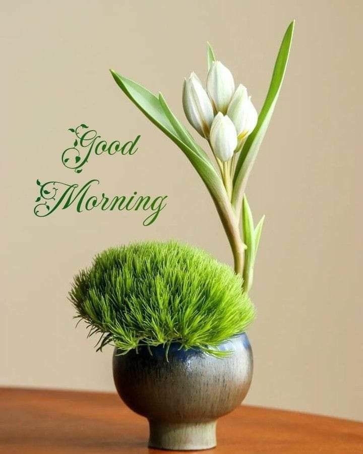 Good Morning Wish with Image for Husband