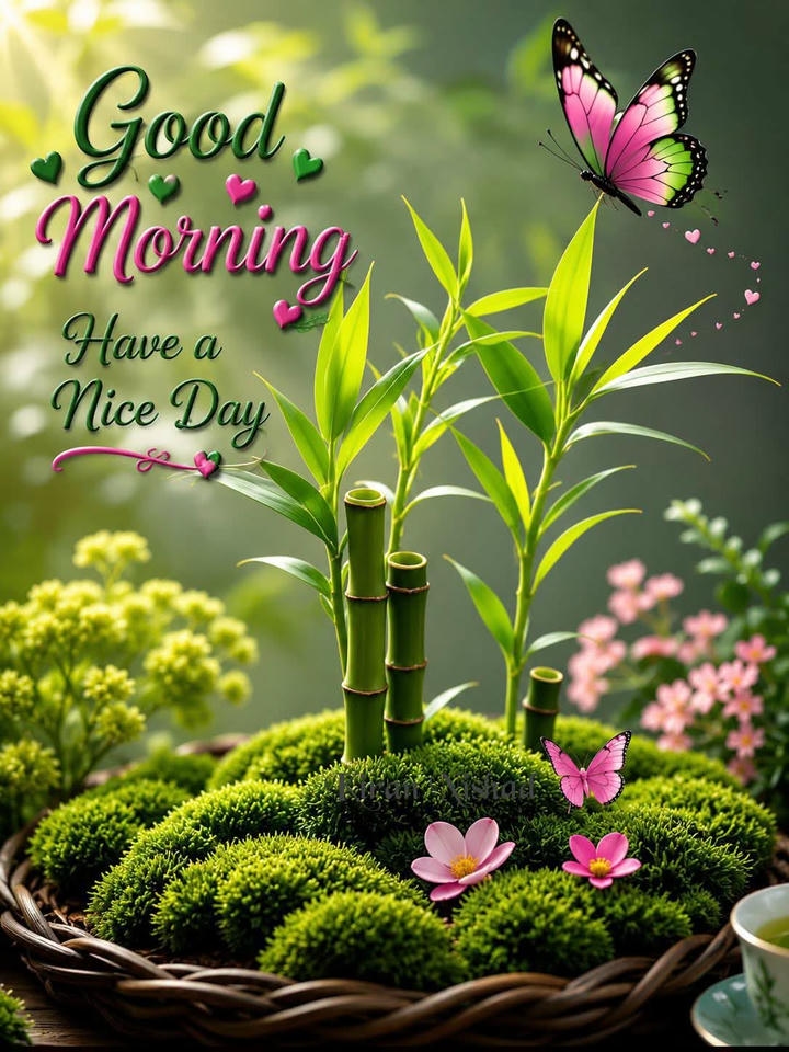 Inspirational Morning Wish Image